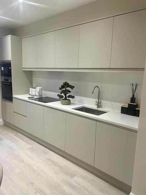 Appartamento New Flat In Holland Park Londra Esterno foto